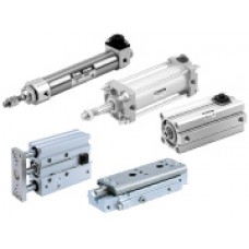 Cylinder with An End Lock 